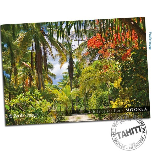 Carte postale moorea jardin exotique cp343