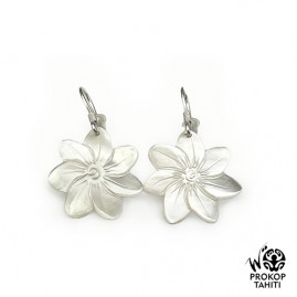 Boucles Oreilles Argent...